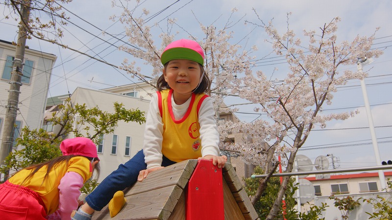 子どもは、遊びの中から「生きる力」を育みます